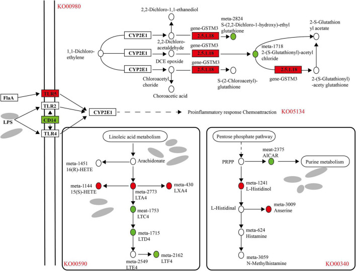 FIGURE 11