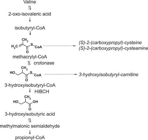 Figure  1. 