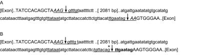 Figure  4. 