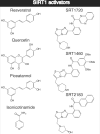 Scheme 4