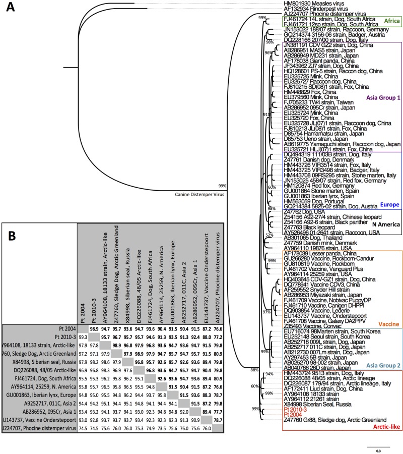 FIG 2 