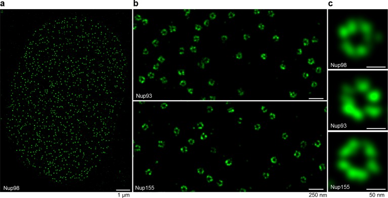 Figure 7.