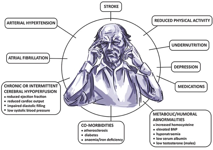 Figure 1: