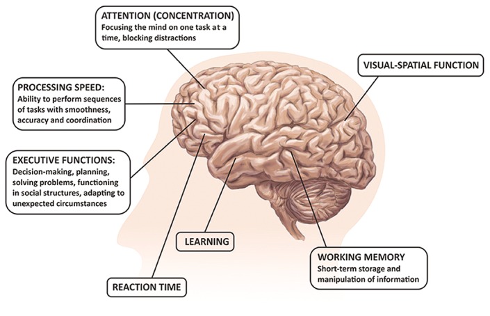 Figure 4: