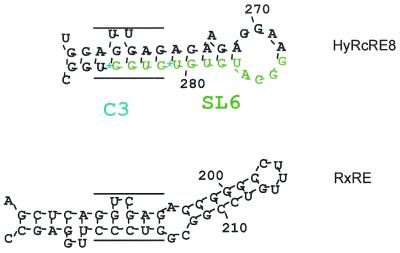 FIG. 7