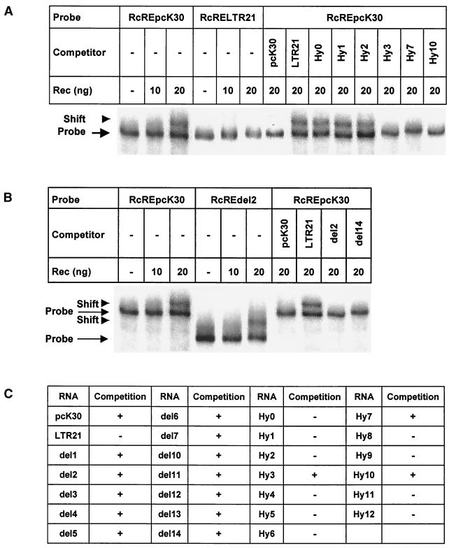 FIG. 6