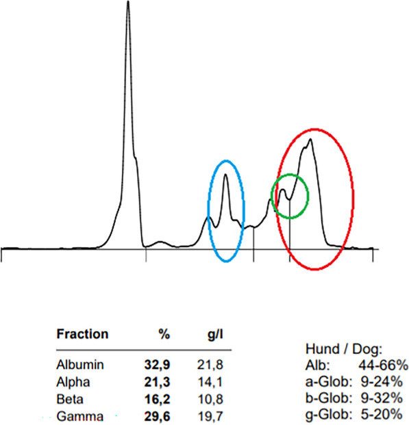 Fig. 2