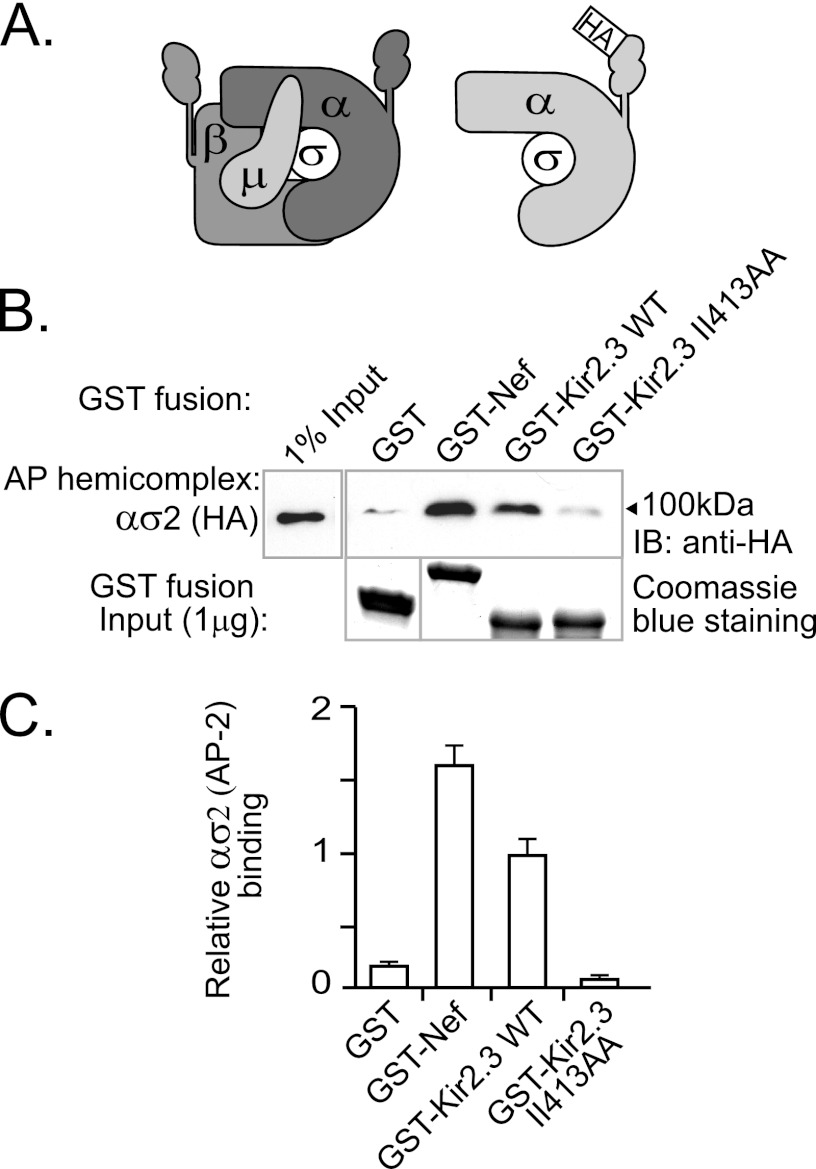 FIGURE 1.