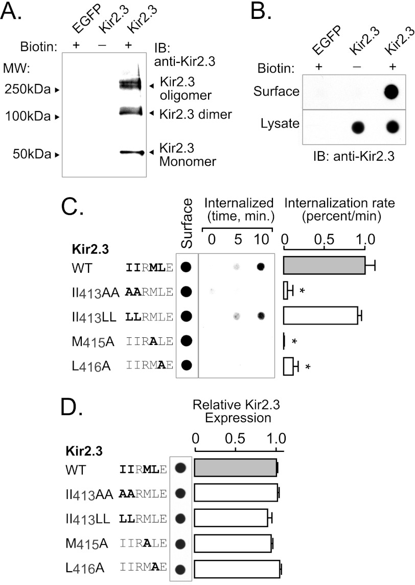 FIGURE 7.