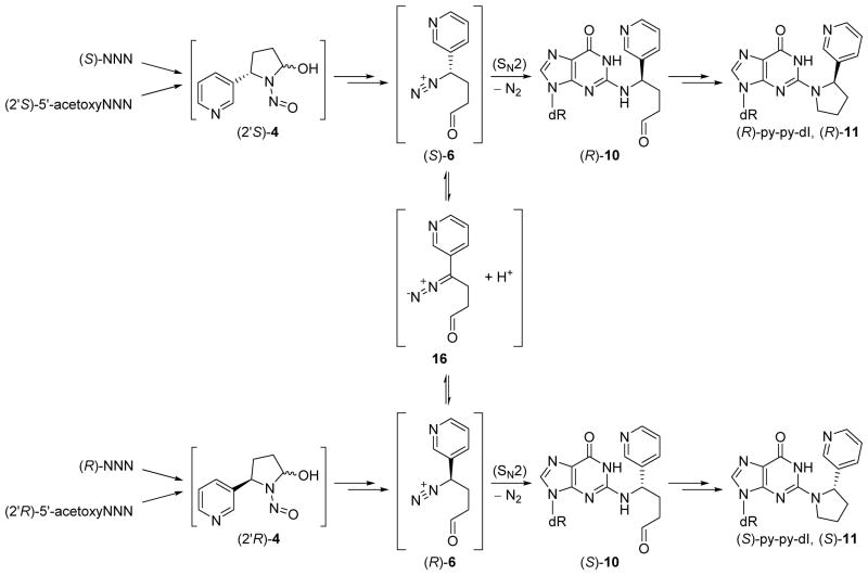 Scheme 2