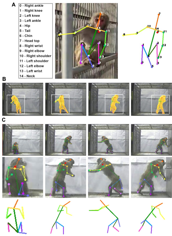 Figure 4