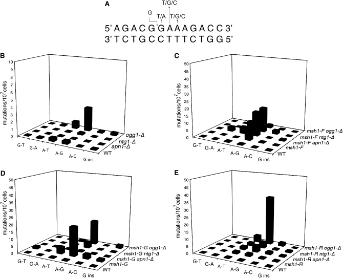 Figure 1.—