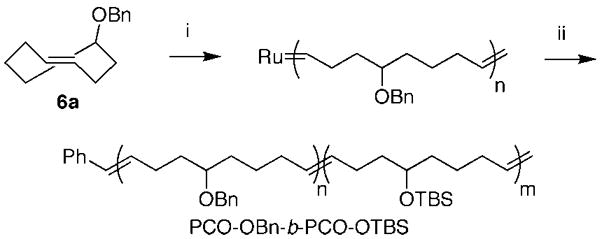 Scheme 5