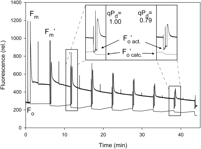 Fig. 7.