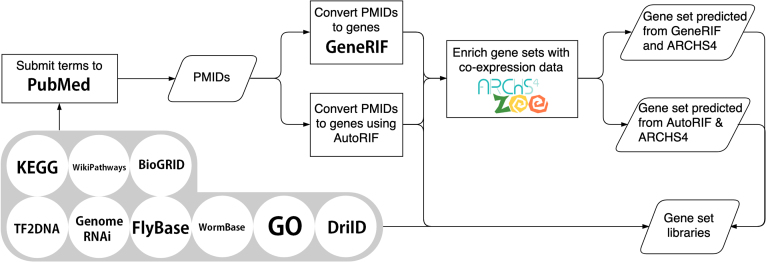 Figure 4.