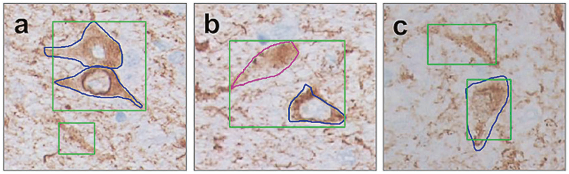 Fig. 8