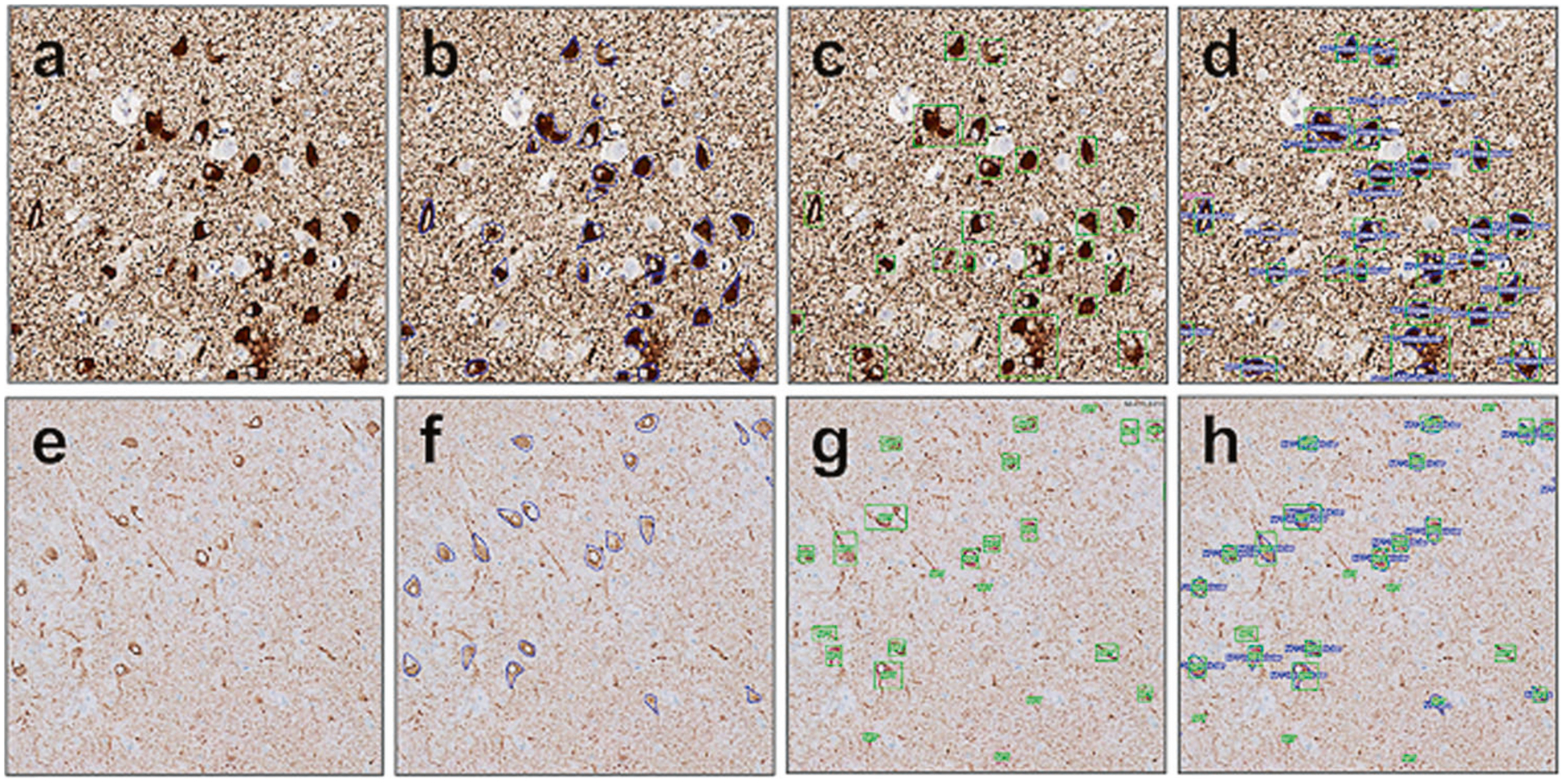 Fig. 7