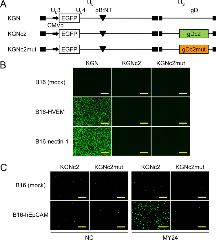 FIG 3