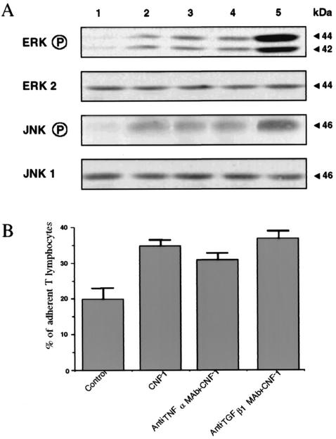 FIG. 9.