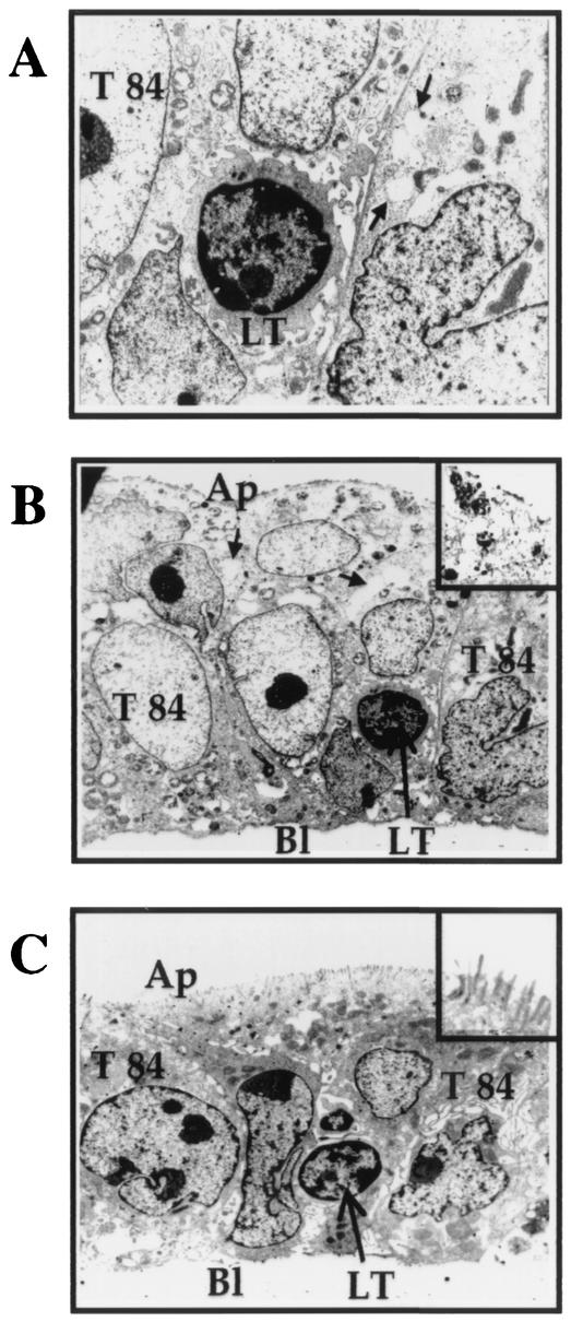 FIG. 5.