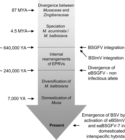 FIG. 5.