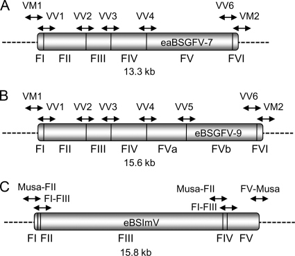 FIG. 1.