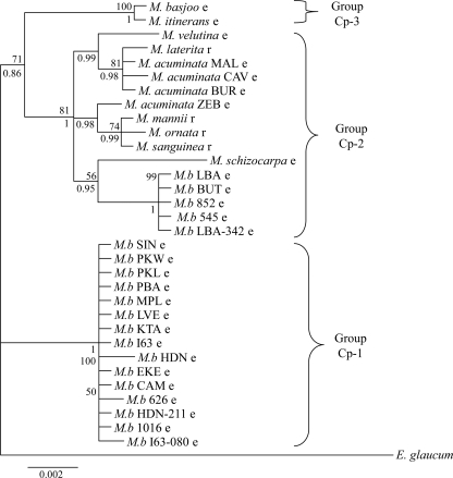 FIG. 2.