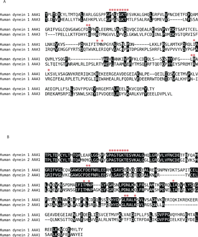 Figure 6—figure supplement 5.