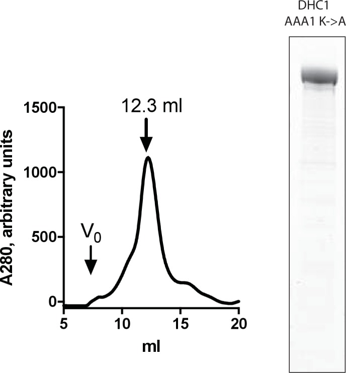 Figure 6—figure supplement 3.