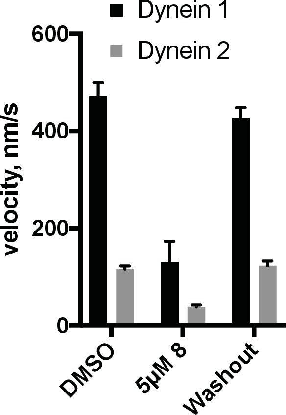 Figure 5—figure supplement 3.