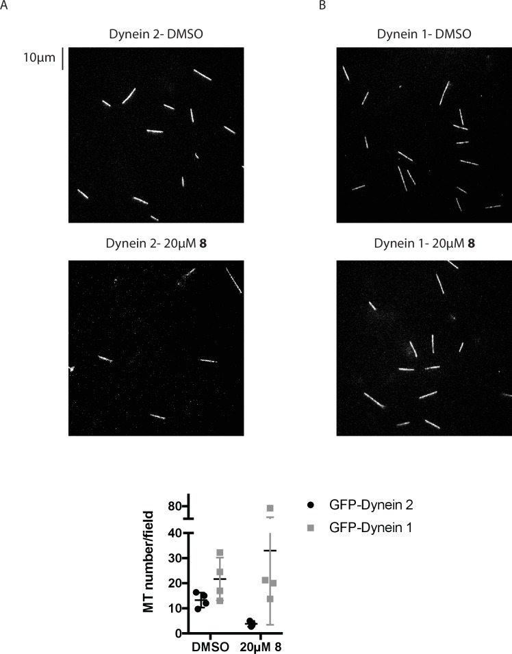 Figure 5—figure supplement 2.