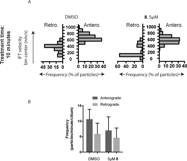 Figure 4—figure supplement 1.