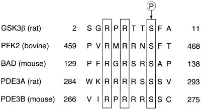 FIG. 8