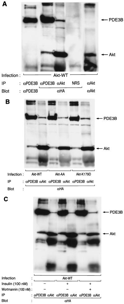 FIG. 5