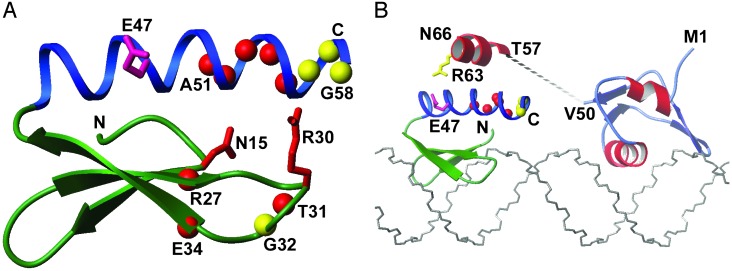 Fig. 6.