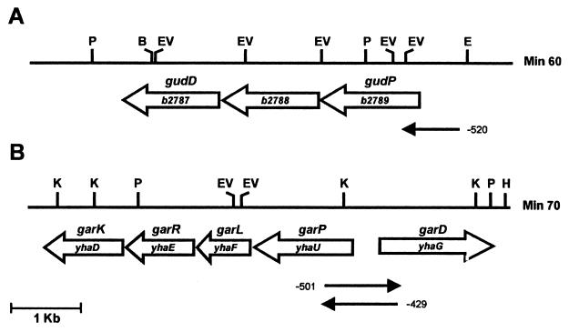 FIG. 1