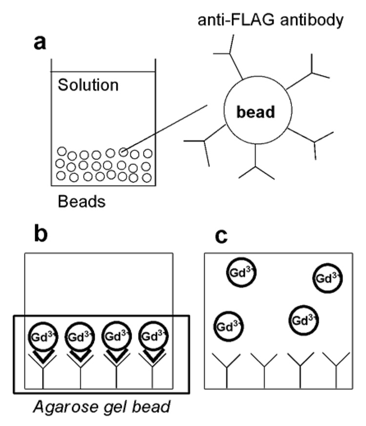 FIG. 1