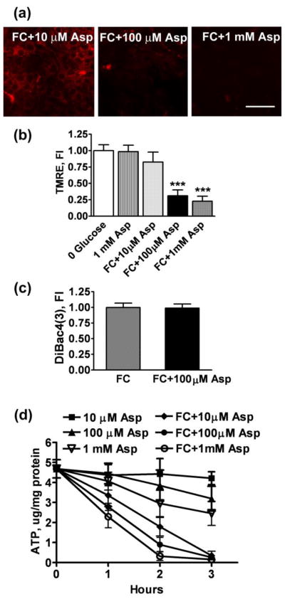 Fig. 8