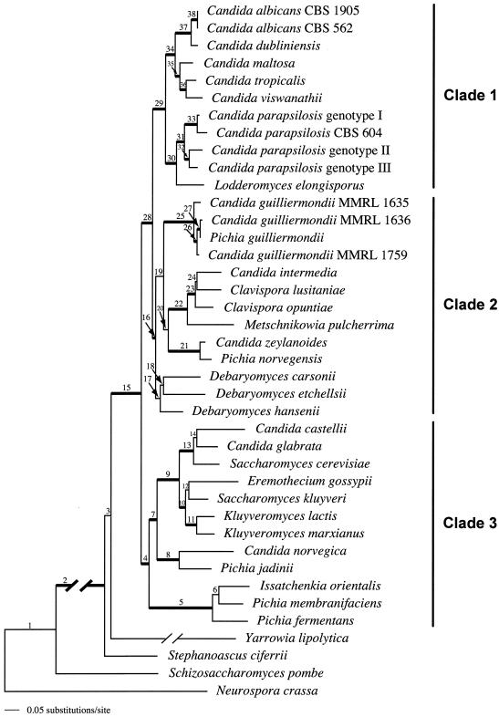 FIG. 2.