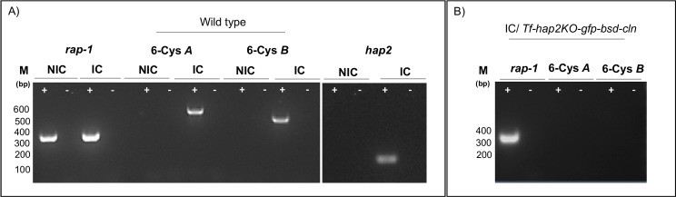 Fig 5