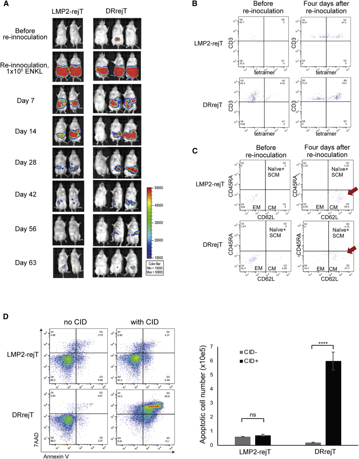 Figure 4