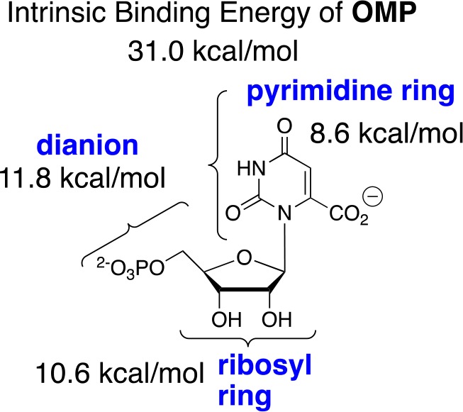 Scheme 5