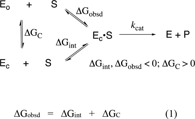 Scheme 4