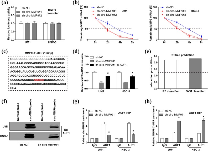 Fig 3.