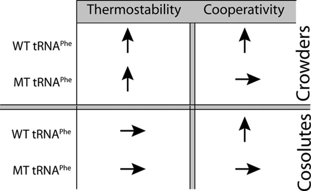 SCHEME 1.