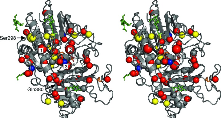 Figure 7