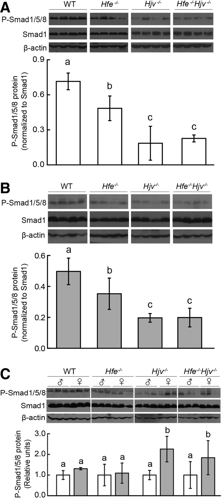 FIG. 3.