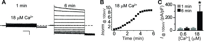 Figure 2—figure supplement 1.