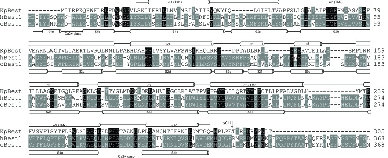 Figure 6—figure supplement 2.