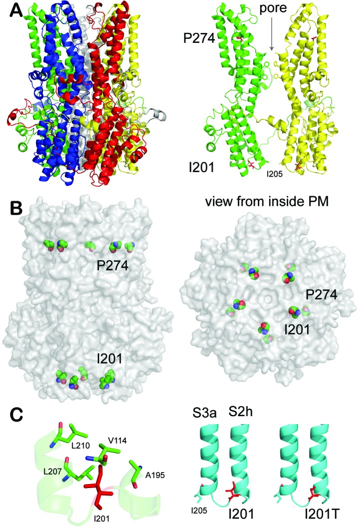 Figure 6.